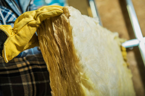 Best Blown-in Insulation in St Johns, AZ