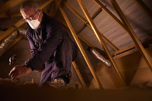 Best Blown-in Insulation in St Johns, AZ