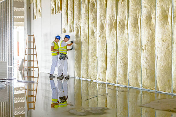 Best Spray Foam Insulation in St Johns, AZ